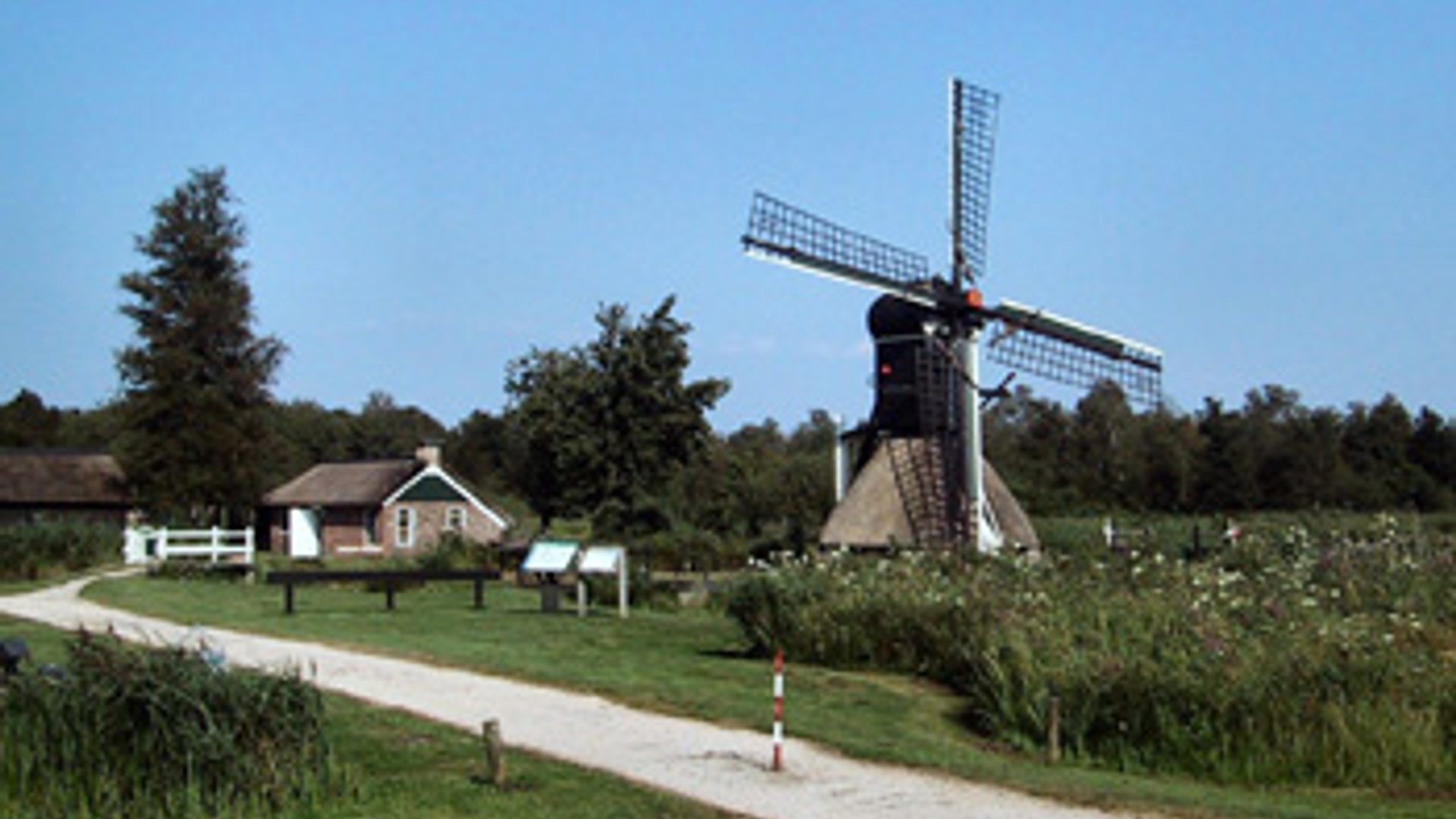 vv_newsimg_151161.jpg