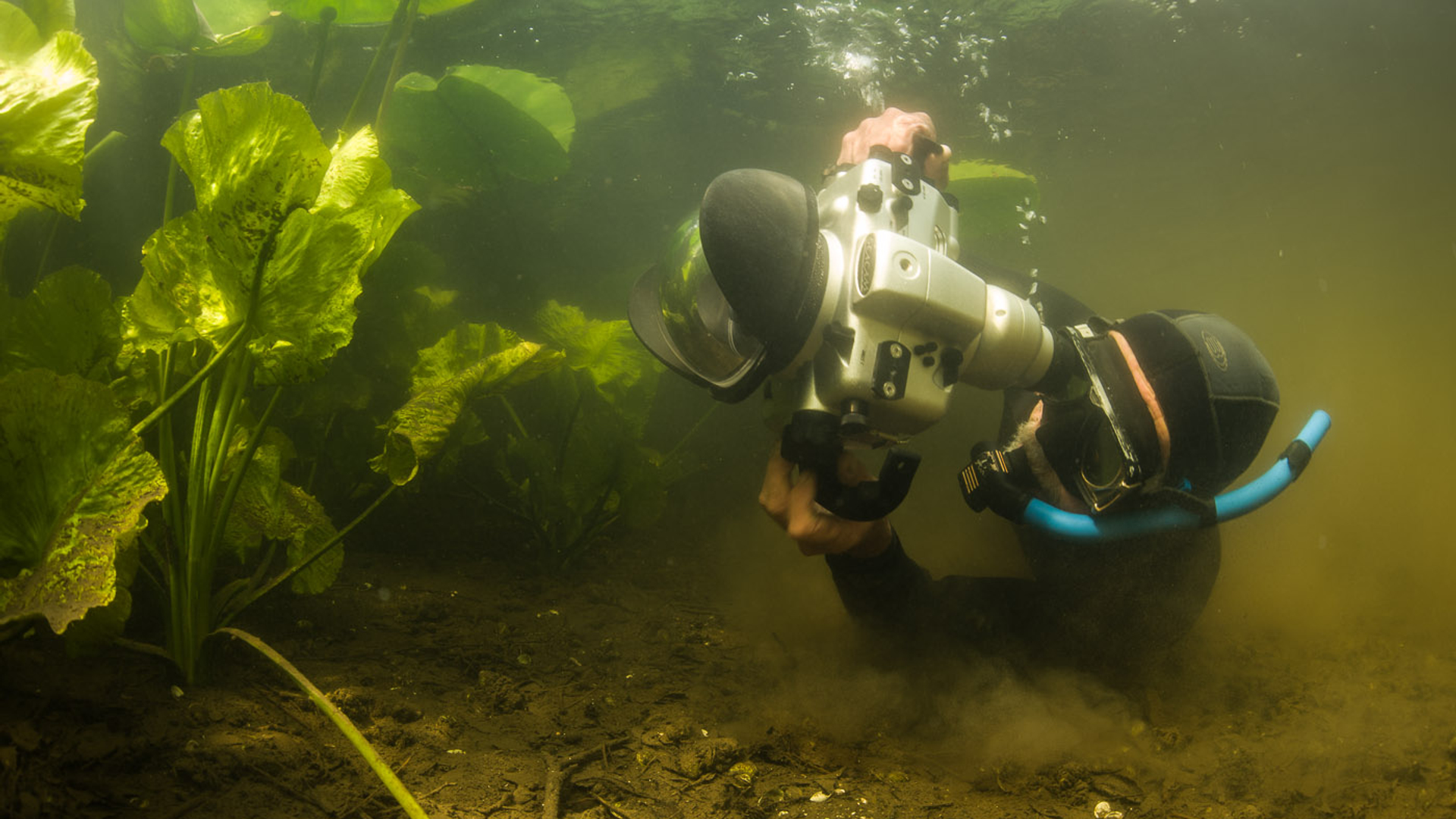 23-maart-2014-Willem-Kolvoort