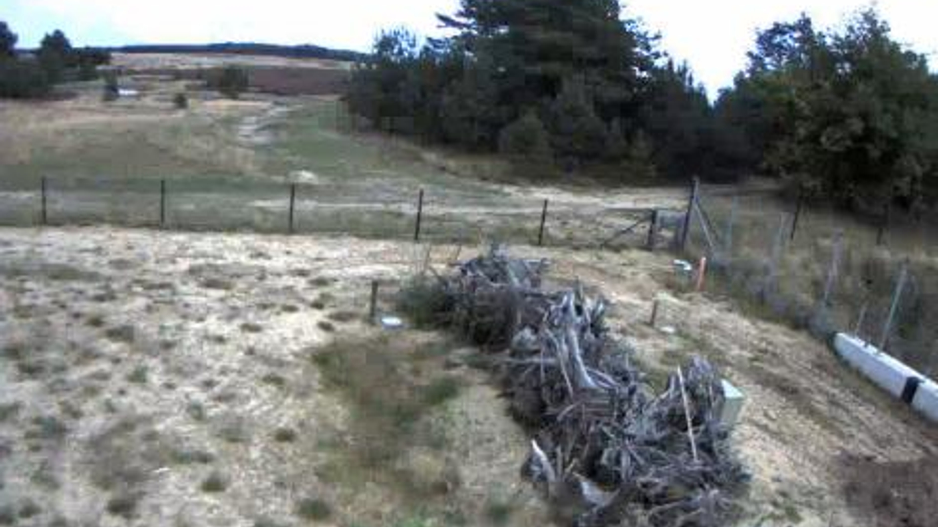 webcam.JPG