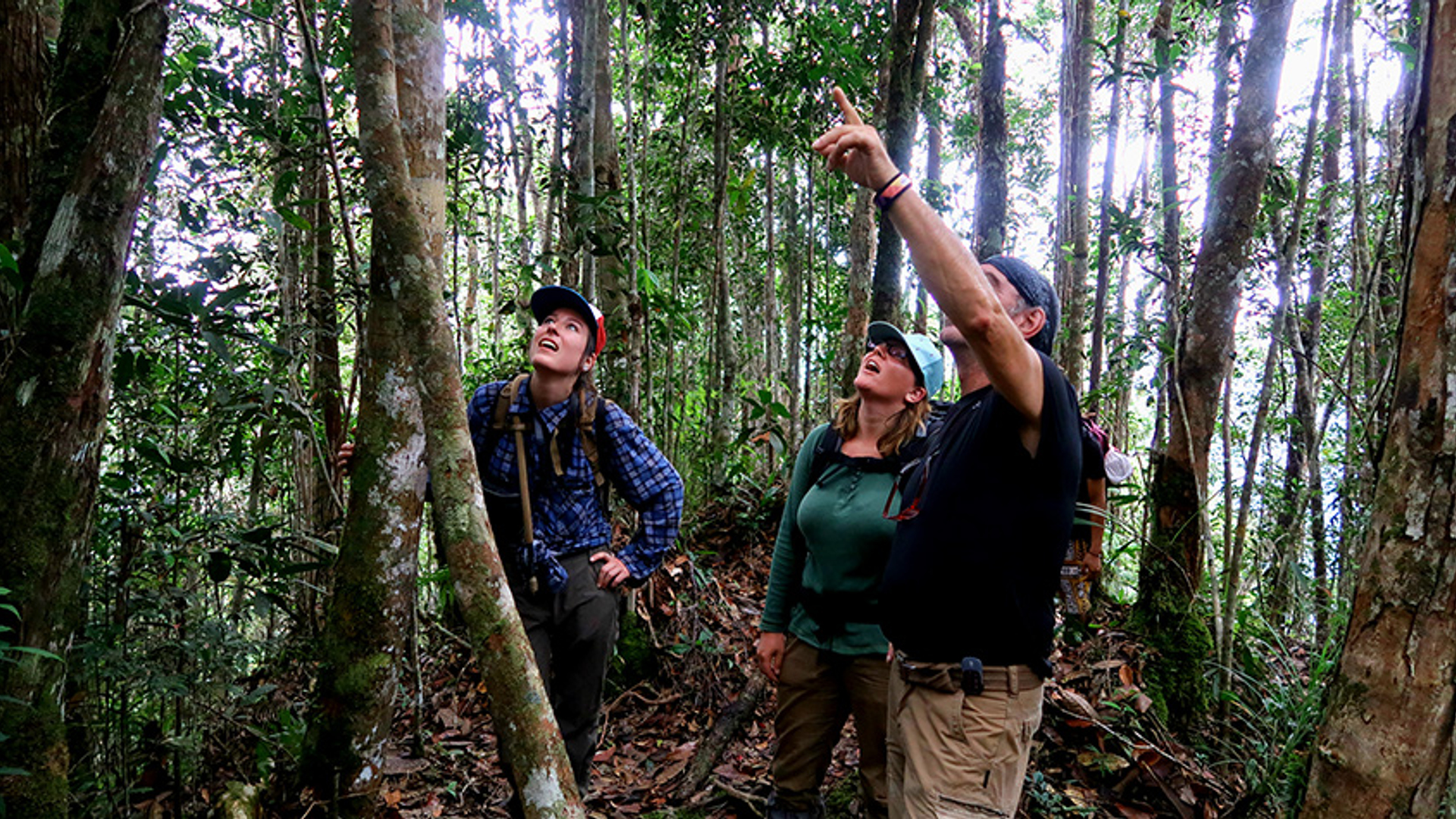 Borneo burgers