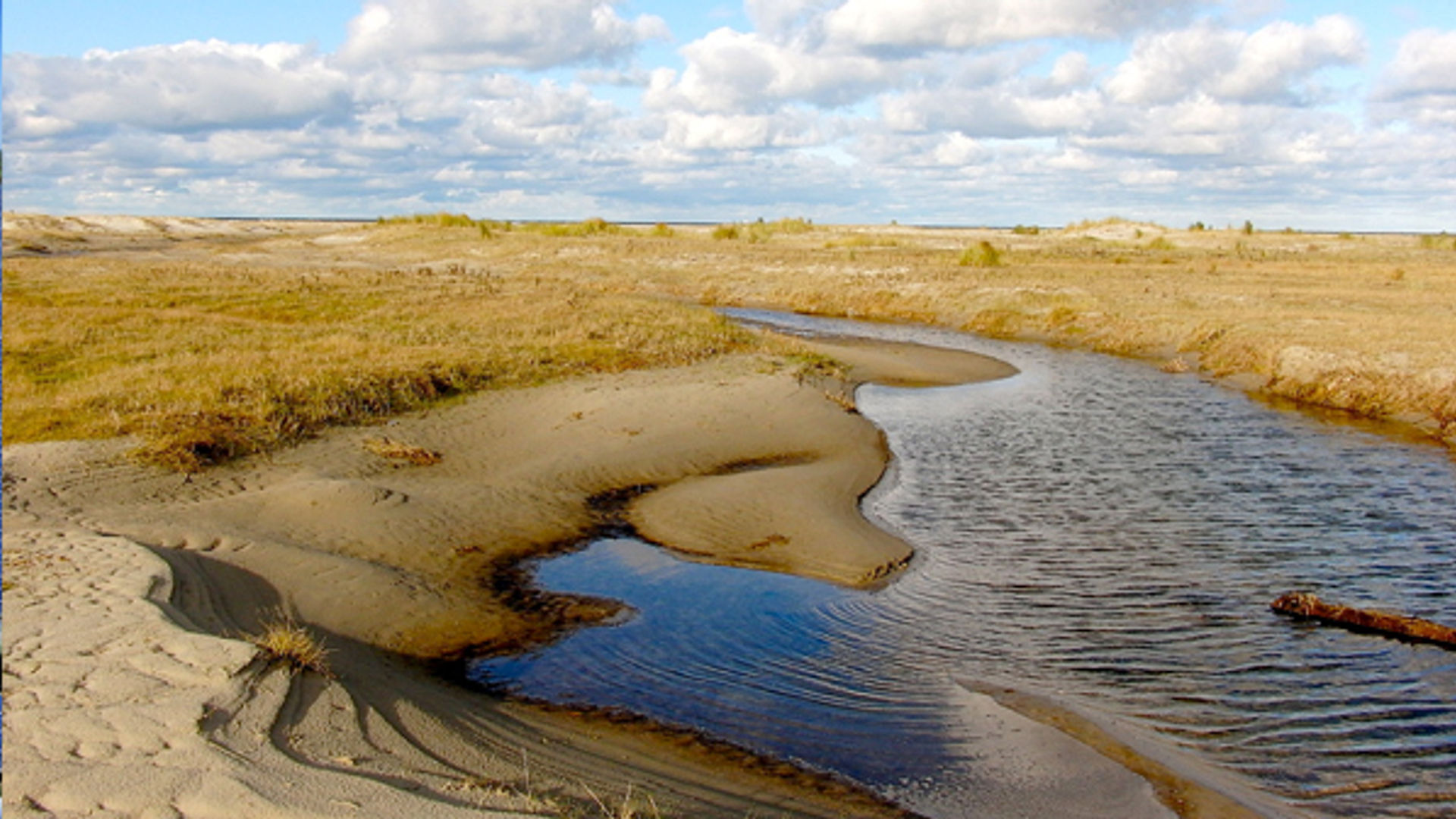 Schiermonnikoog_dikkenberg.jpg