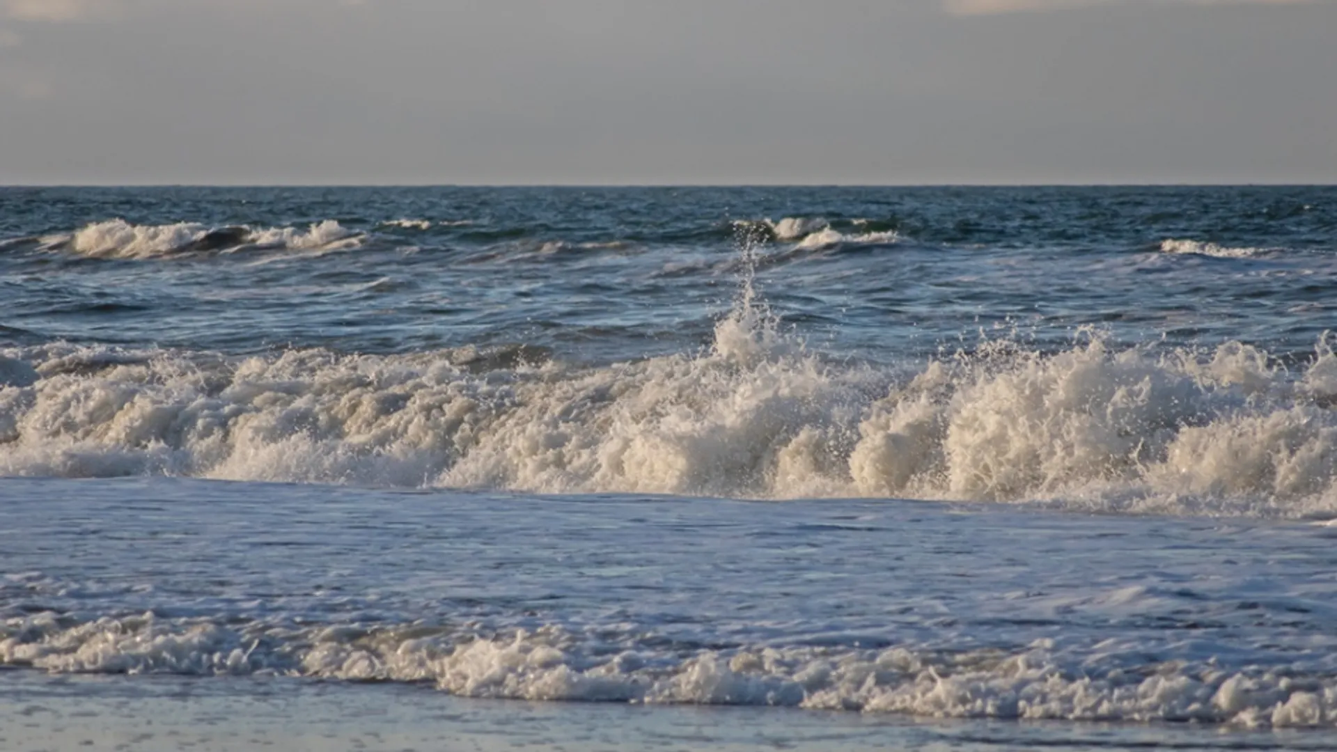 Noordzee