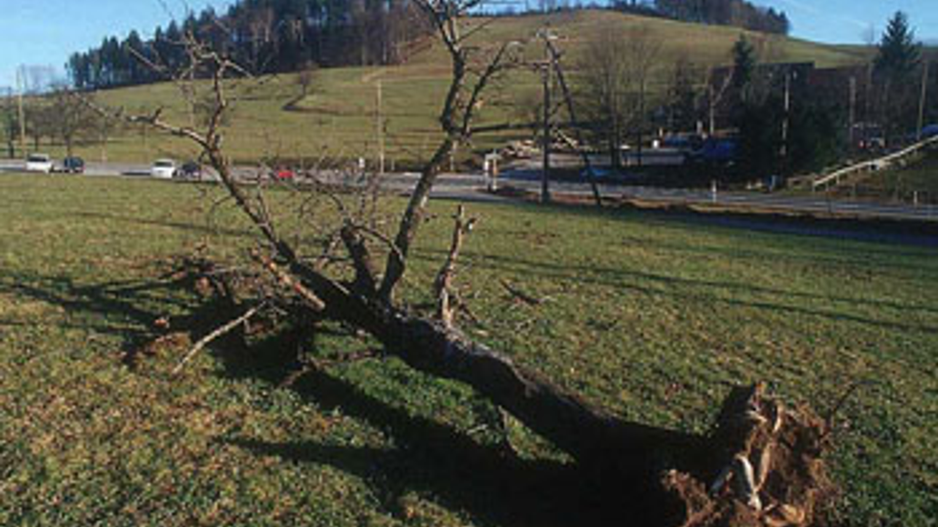 vv_newsimg_245547.jpg
