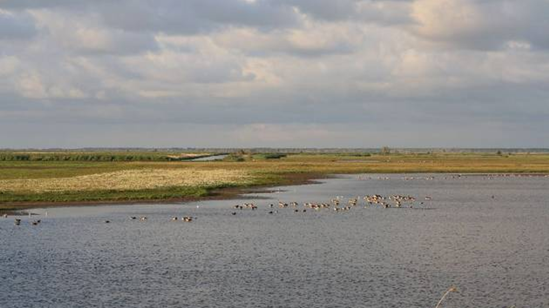 Oostvaarderplassen.jpg
