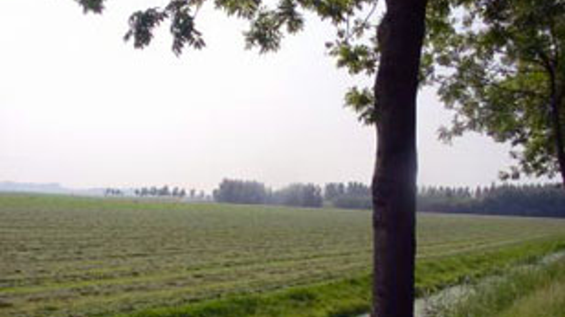 vv_newsimg_96504.jpg