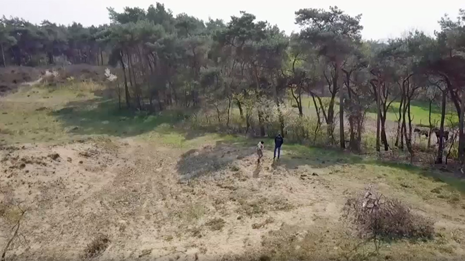 vennen scherven