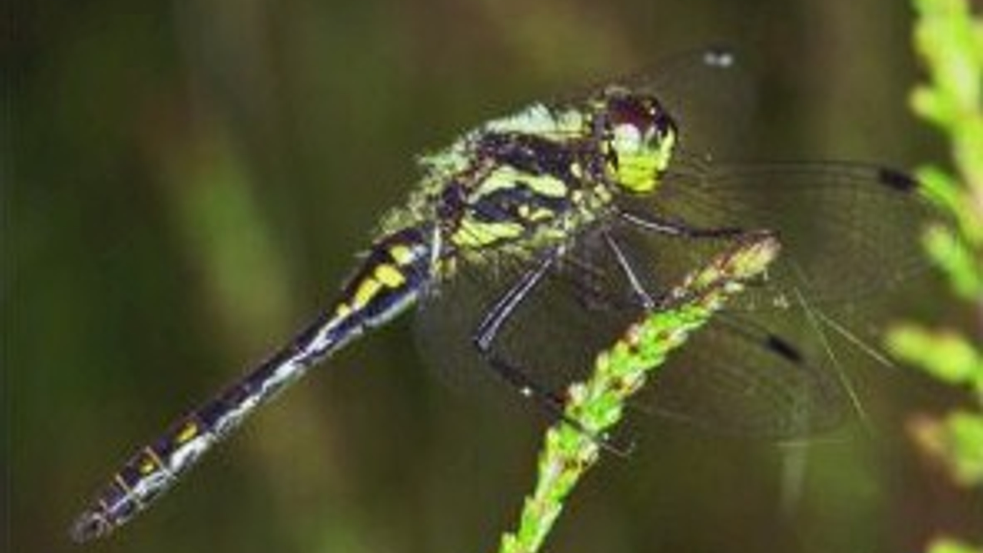 vv_newsimg_120839.jpg