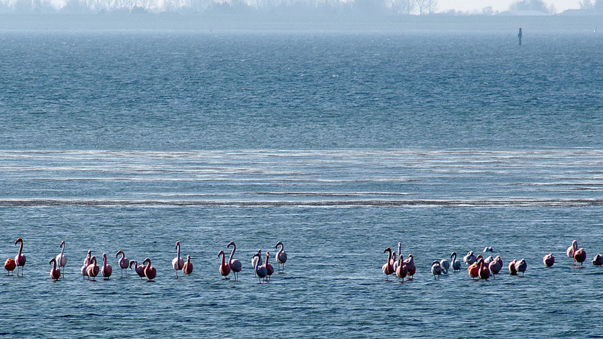 grevelingenmeer Fotograaf- Paul071
