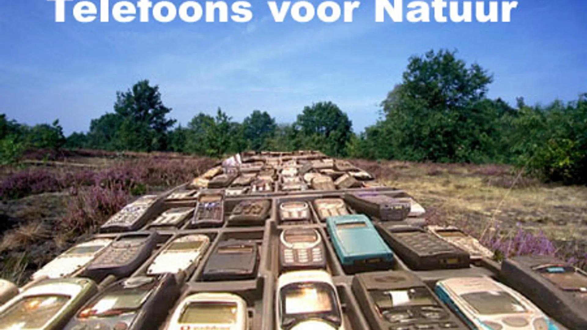 vv_newsimg_259037.jpg