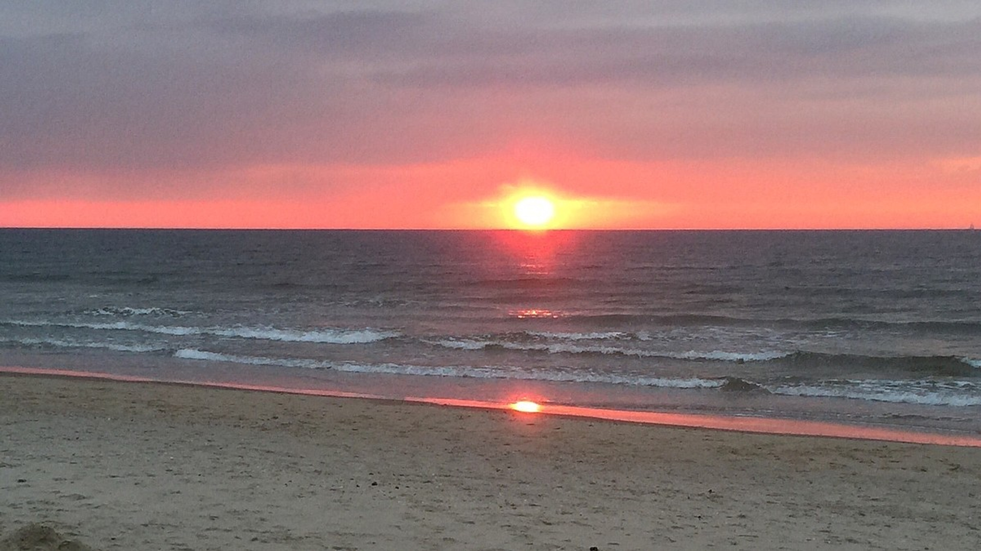 Texel.jpg