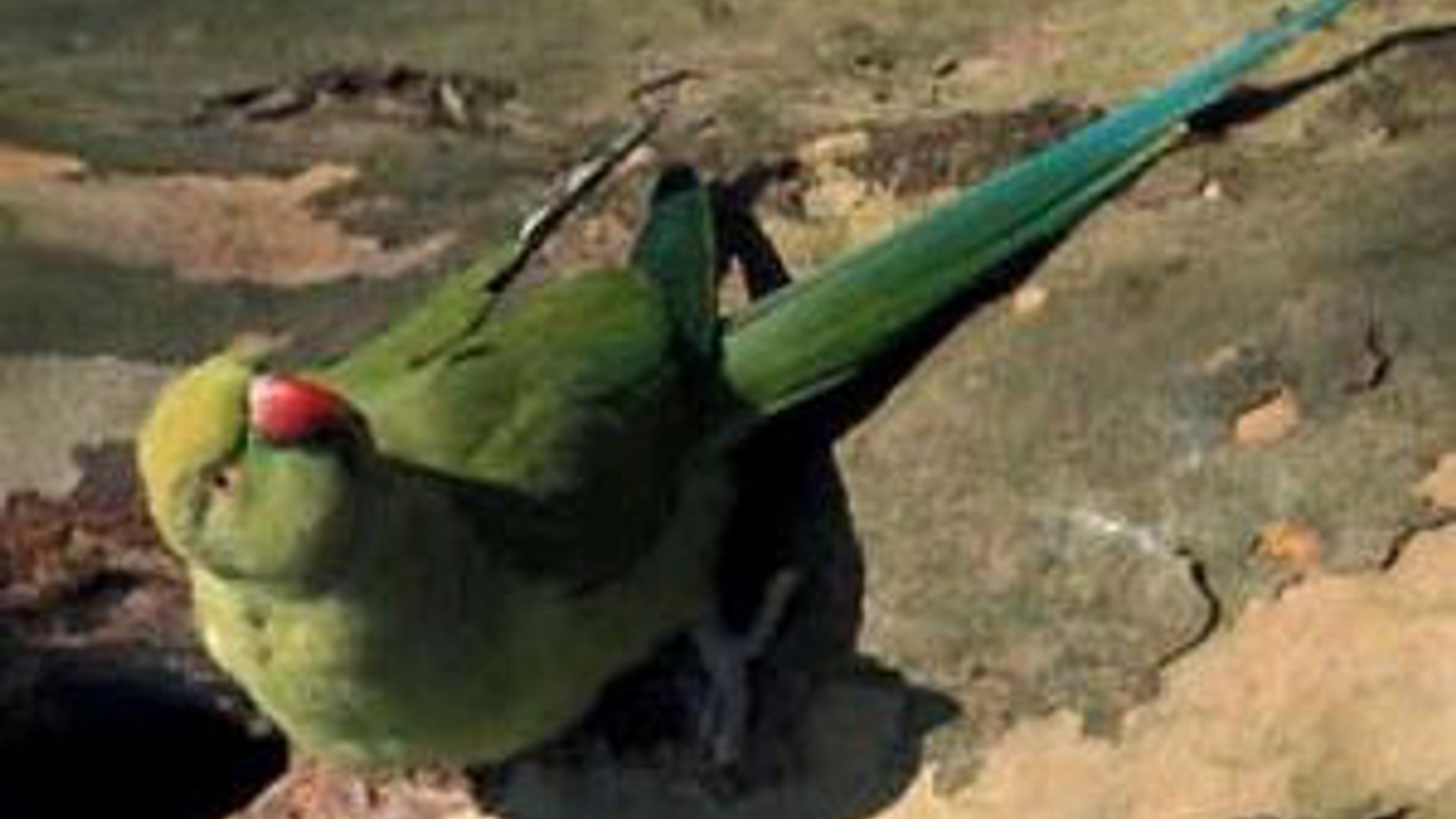 vv_newsimg_58386.jpg