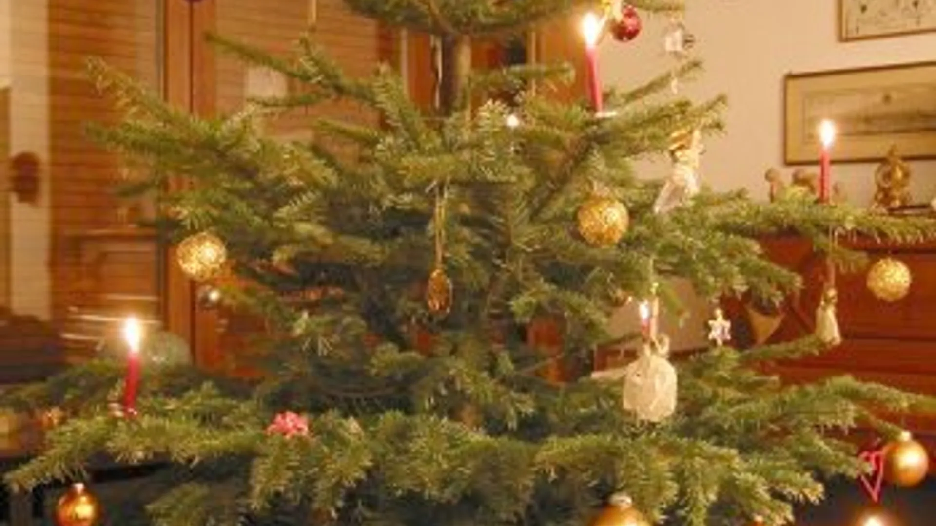 kerstboom_04.jpg