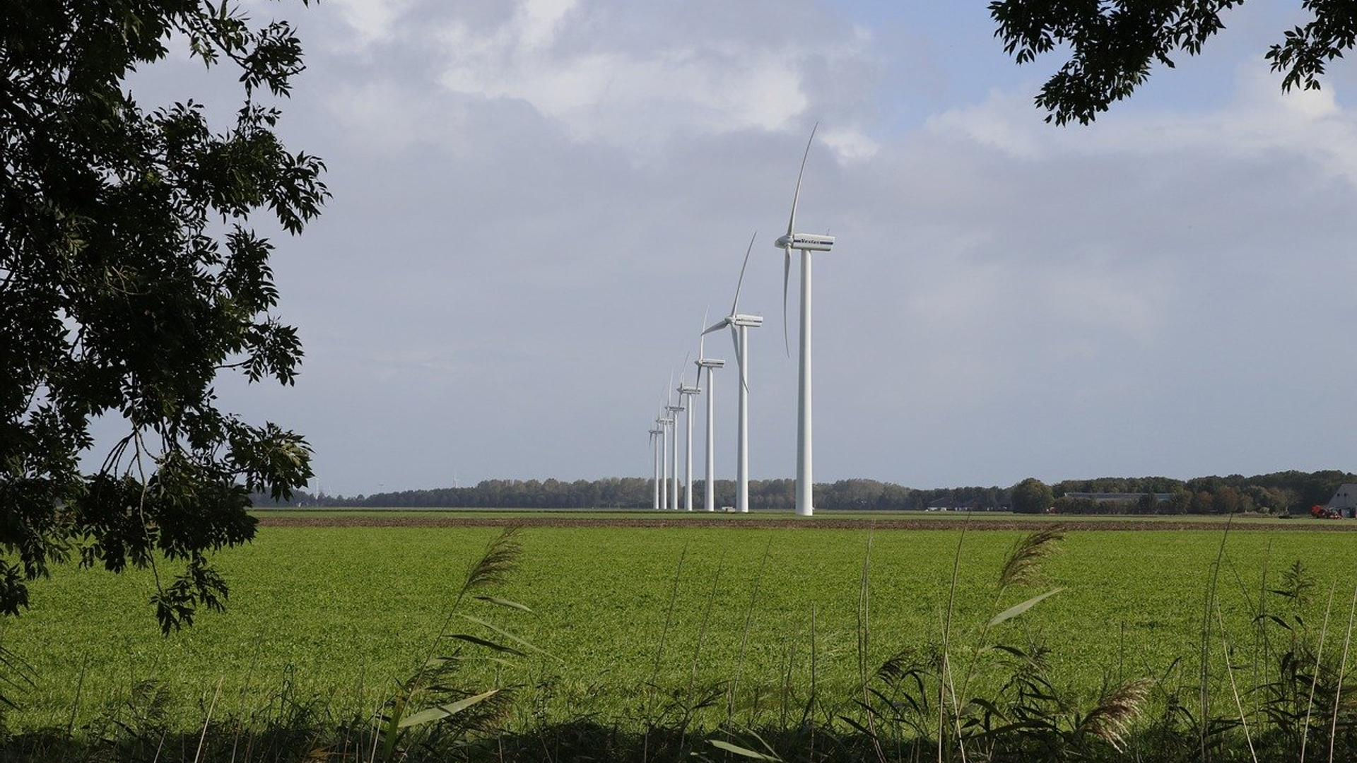 windmolens zeewolde