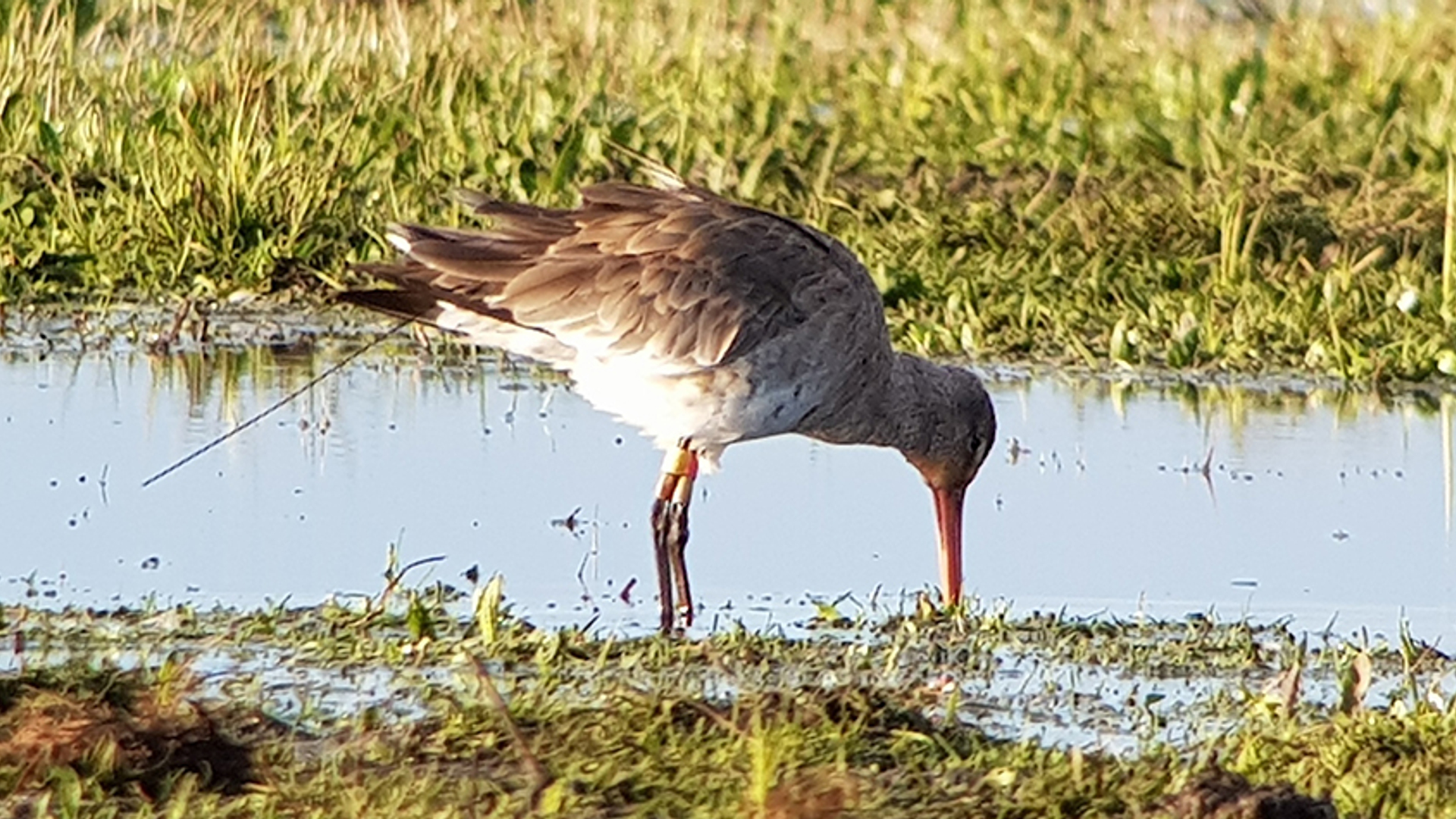grutto madrigalejo