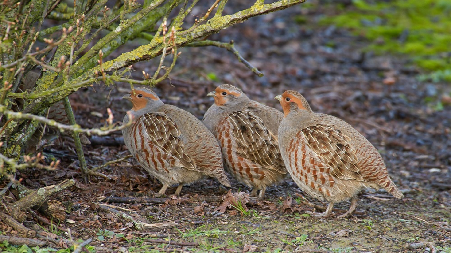 328c839228cba180ef700714e030487b