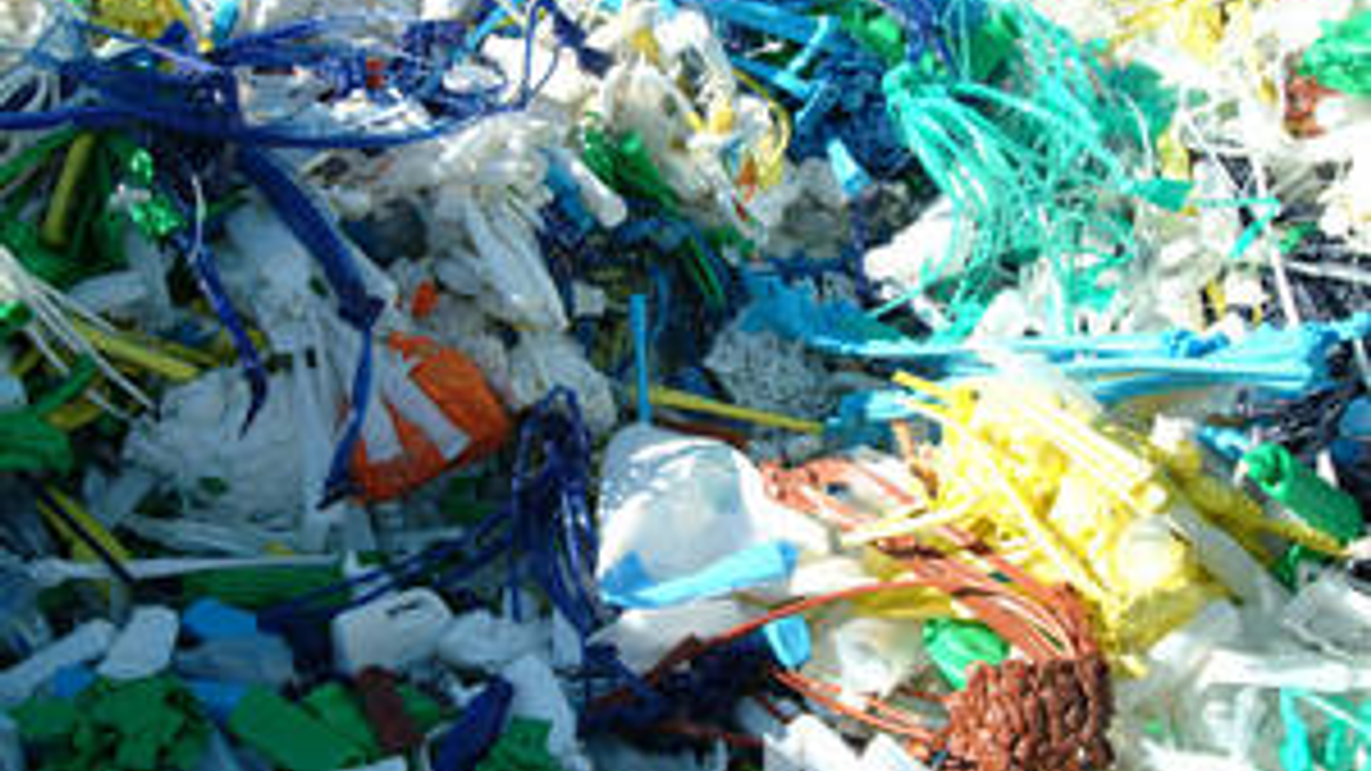 plastic_07.jpg