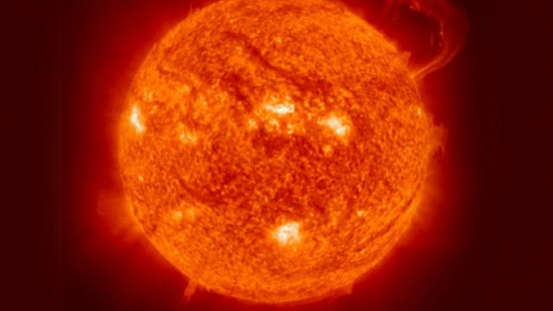 zon_27.jpg