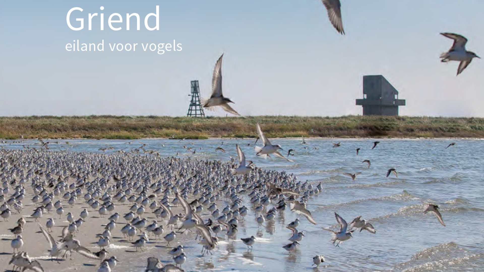 Rob Buiter 814Schermafdruk 2016-11-16 10.49.24