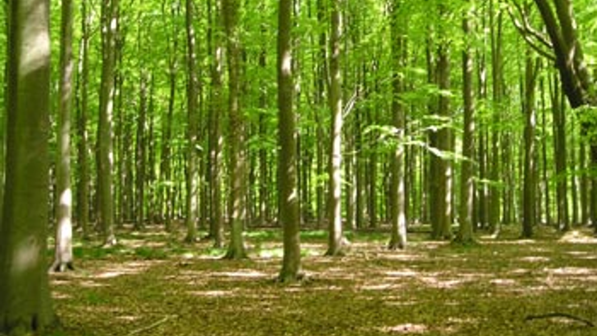 vv_newsimg_123051.jpg