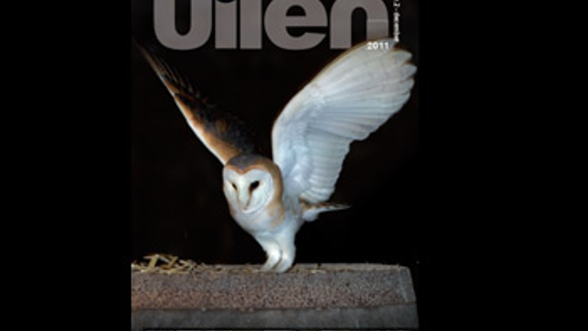 uilen.jpg