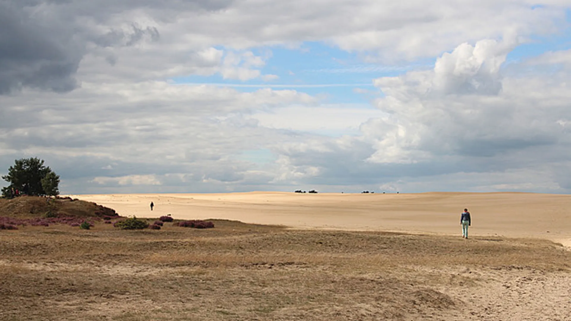 veluwe_debont.jpg