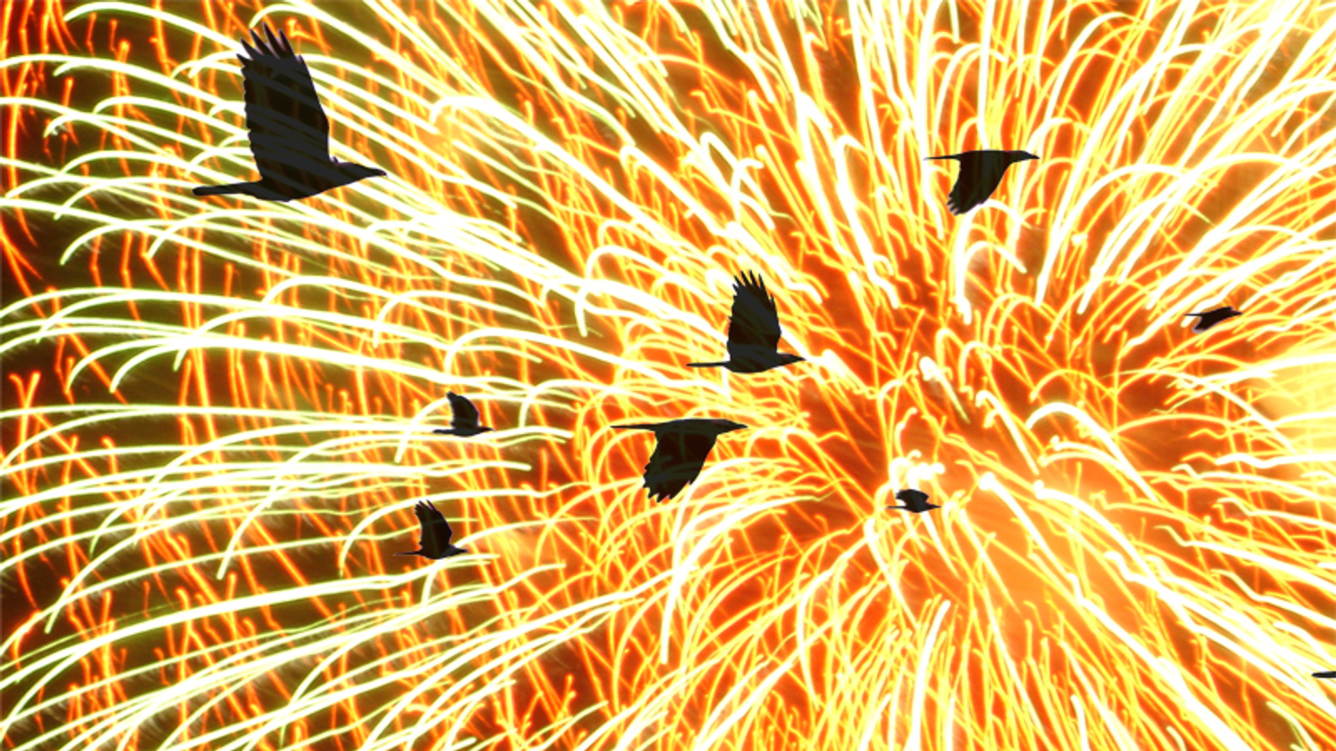 vuurwerk_09.jpg
