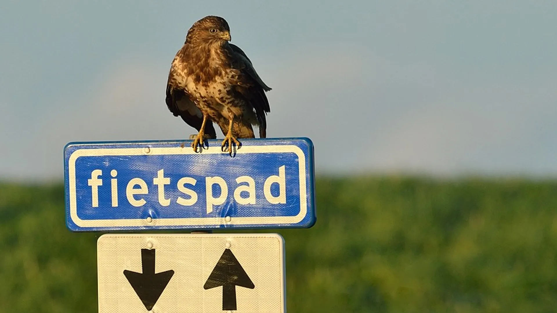 feietspad.jpg