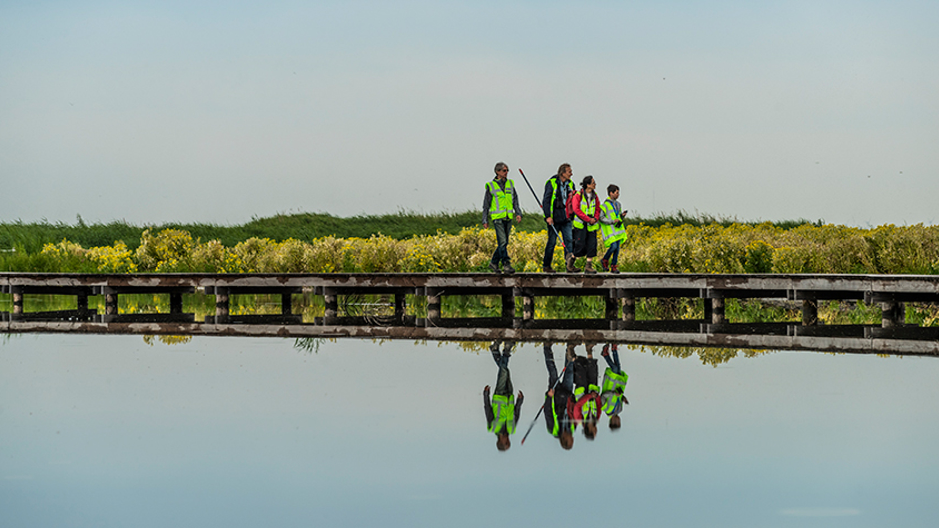 MarkerWadden_Natuurmonumenten