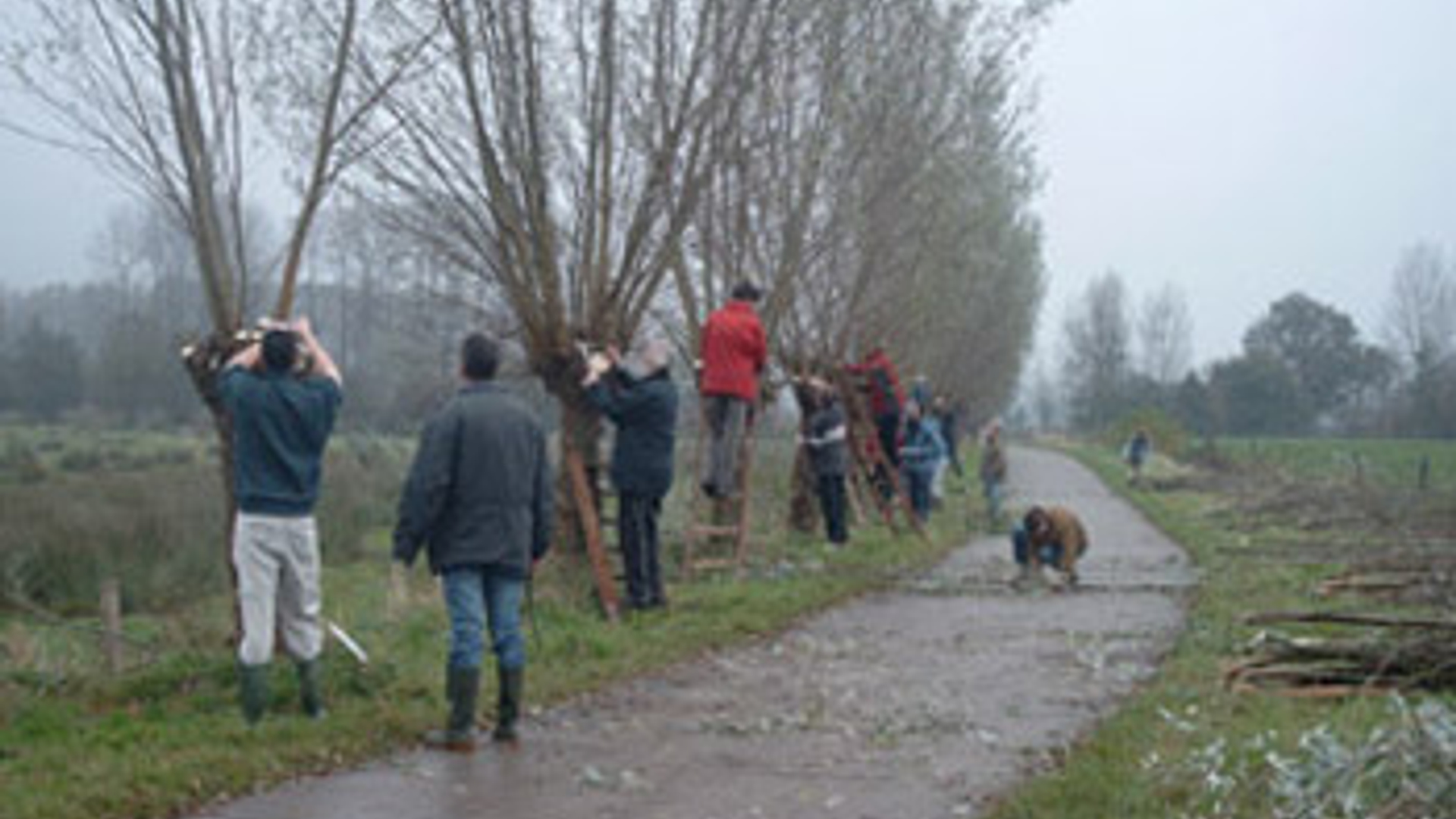 vv_newsimg_141424.jpg