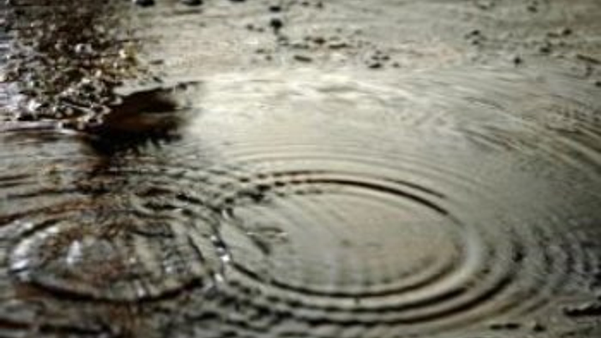 regen.jpg