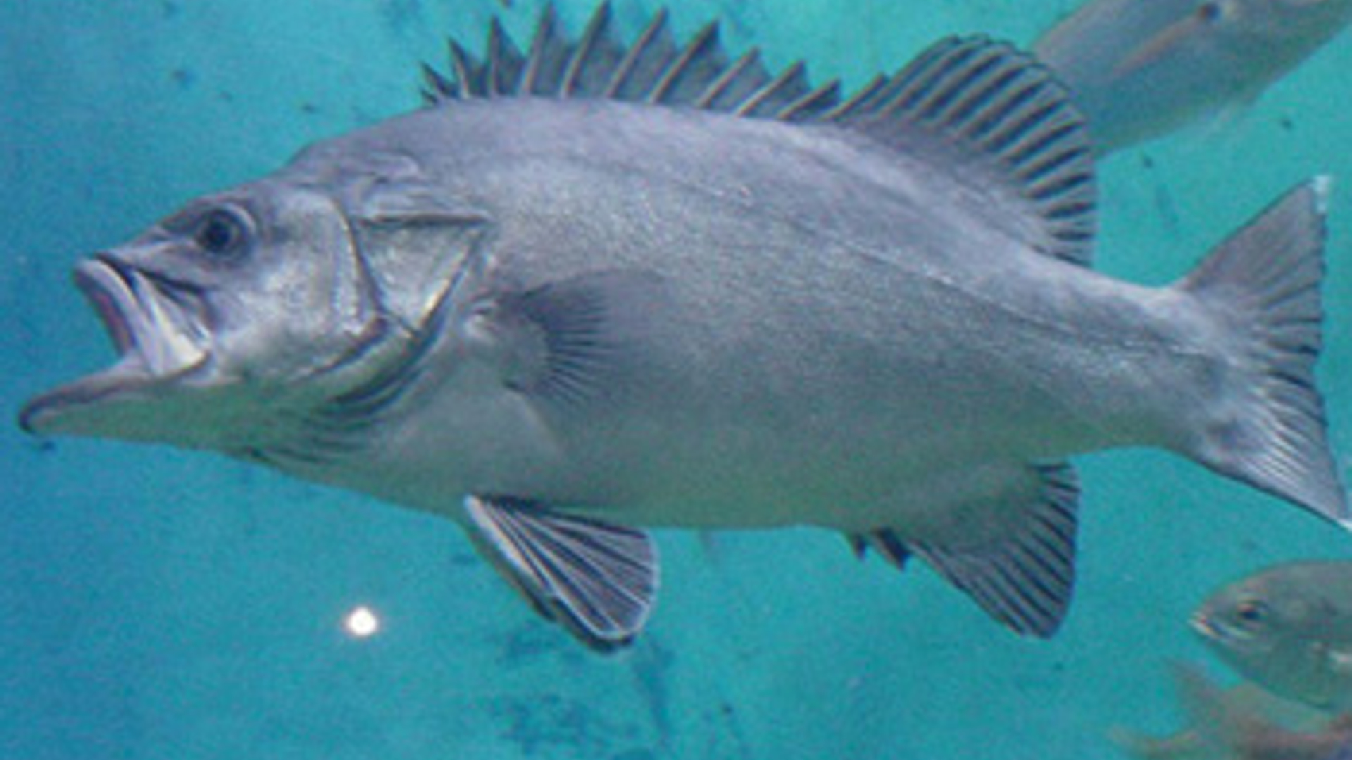 vv_newsimg_268702.jpg