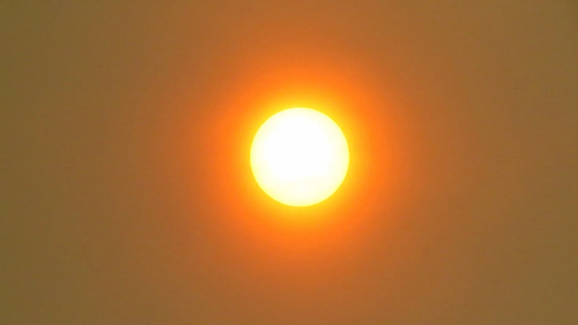 Oranje zon