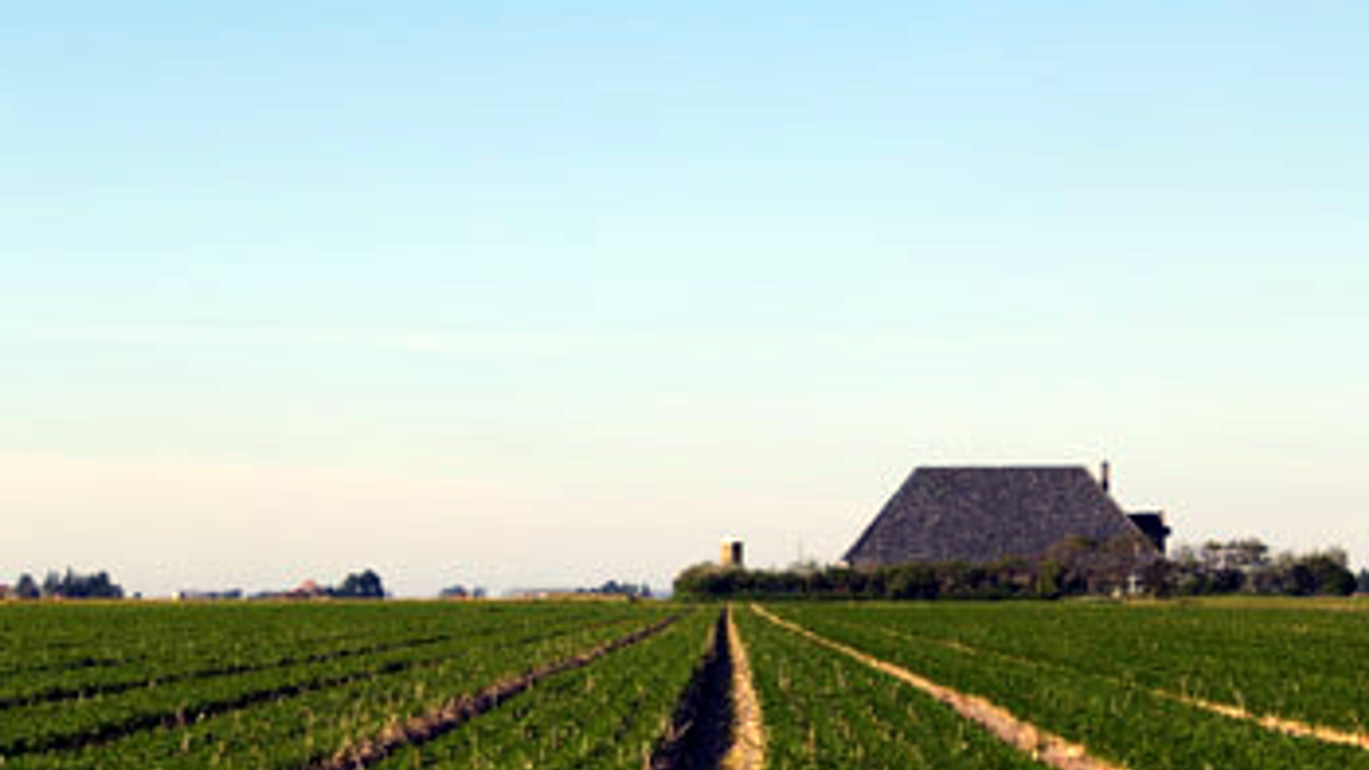 vv_newsimg_129510.jpg