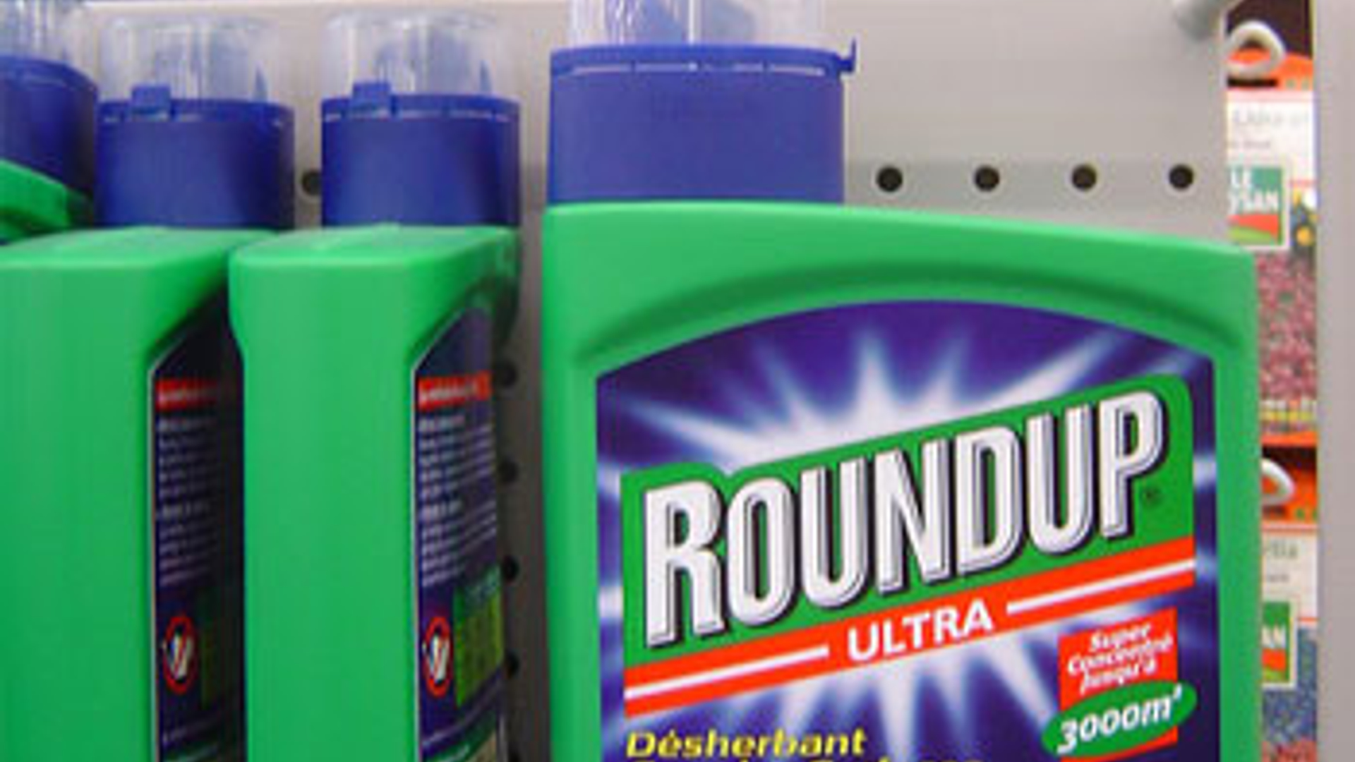roundup_02.jpg