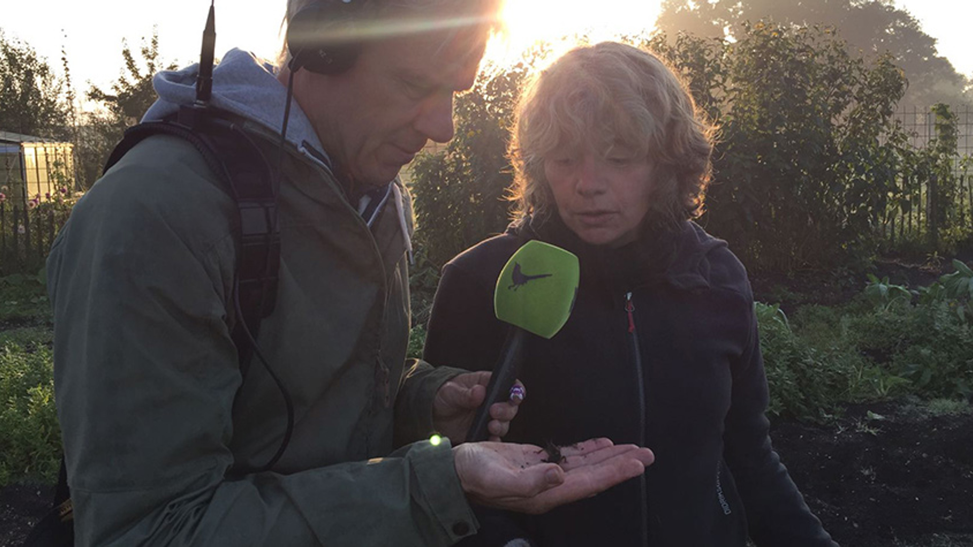 Menno met veenmol in moestuin