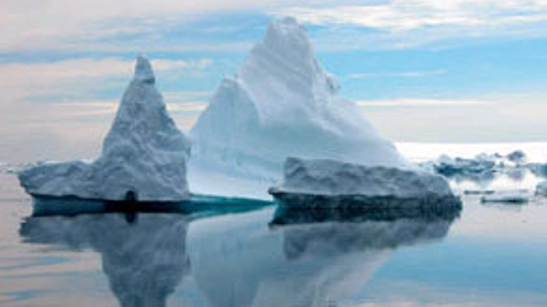 vv_newsimg_111105.jpg