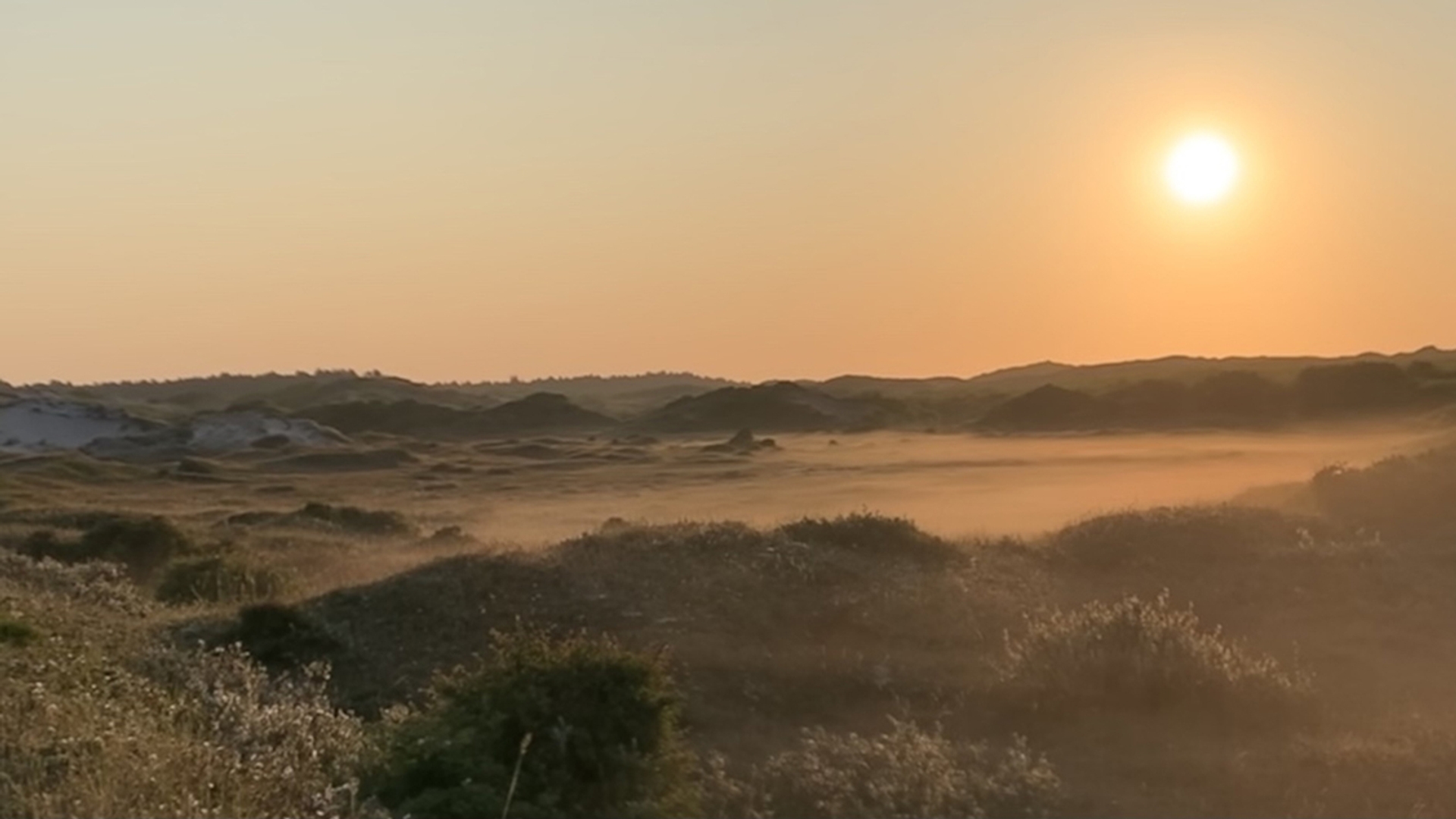 duinenBergenaanzee