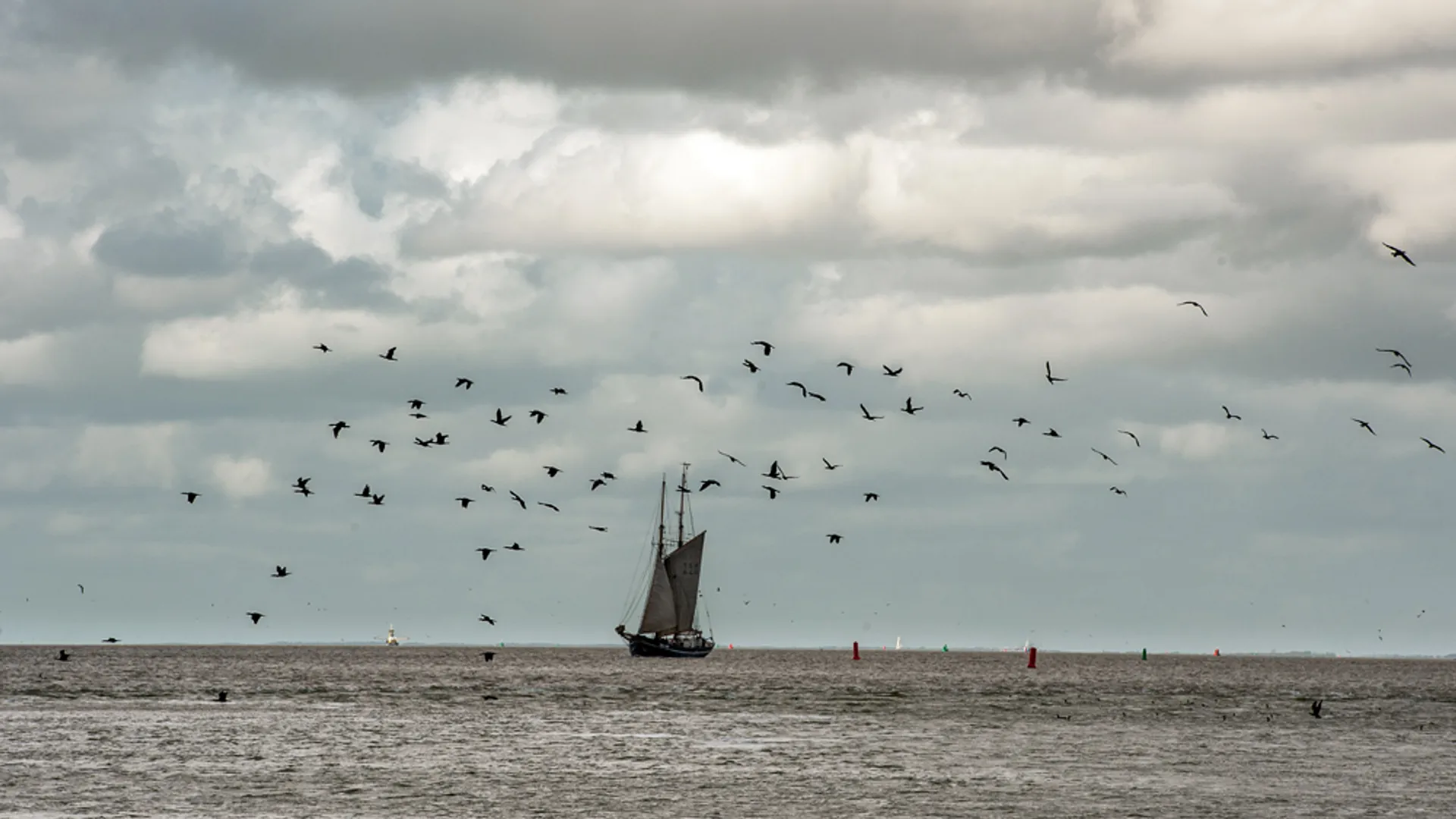 Wadden_VBN_LSO_20131030_8339.jpg