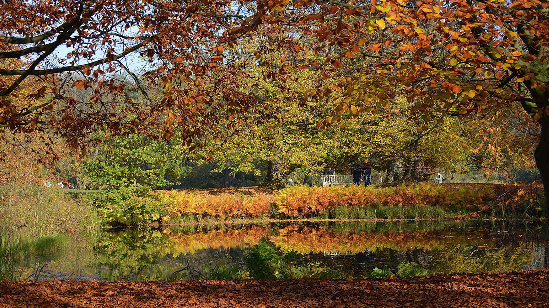 Herfst