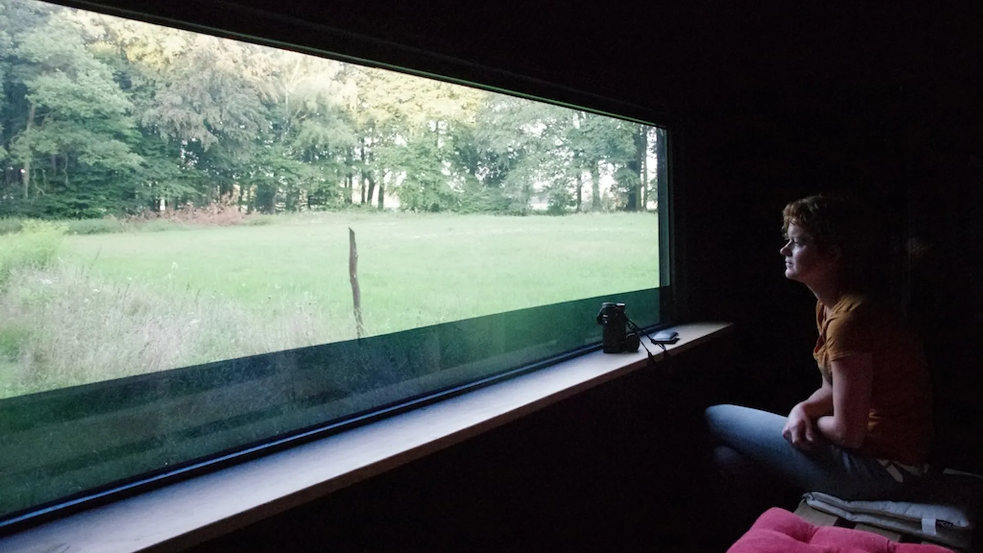 K5II4085.jpg