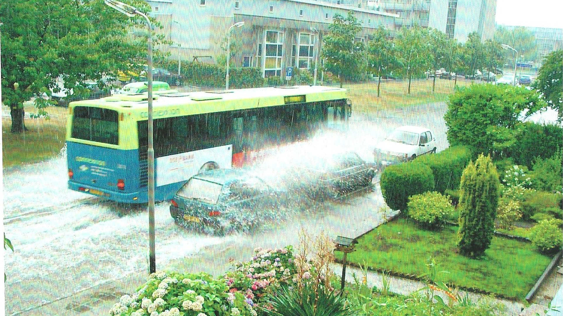 regen_17.jpg
