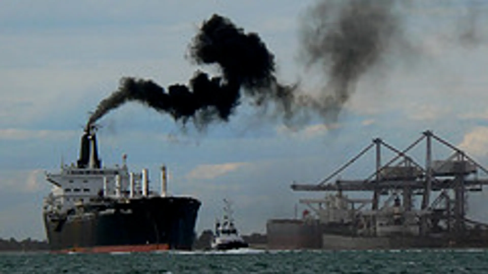 Clean_shipping_01.jpg