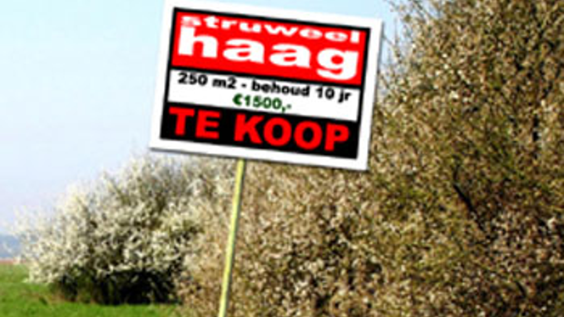 vv_newsimg_295062.jpg
