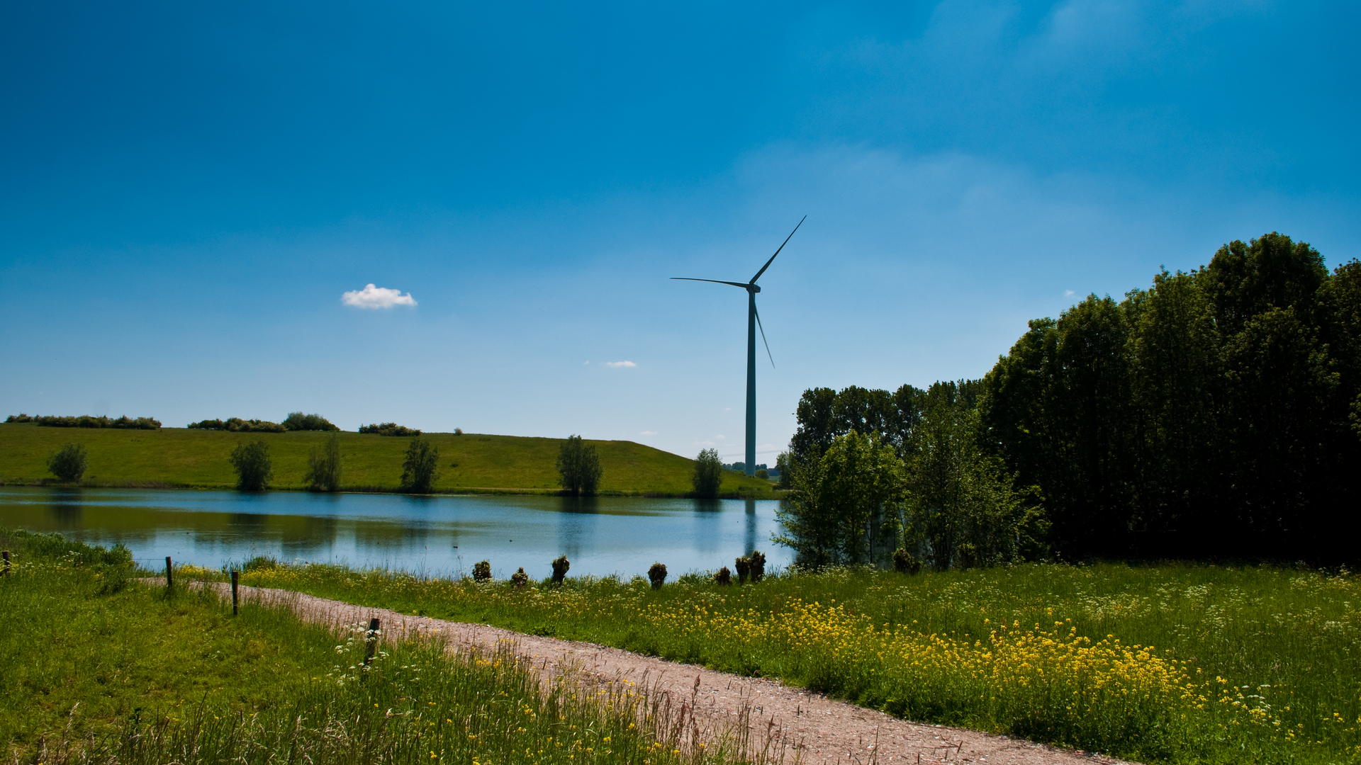 windmill.jpg