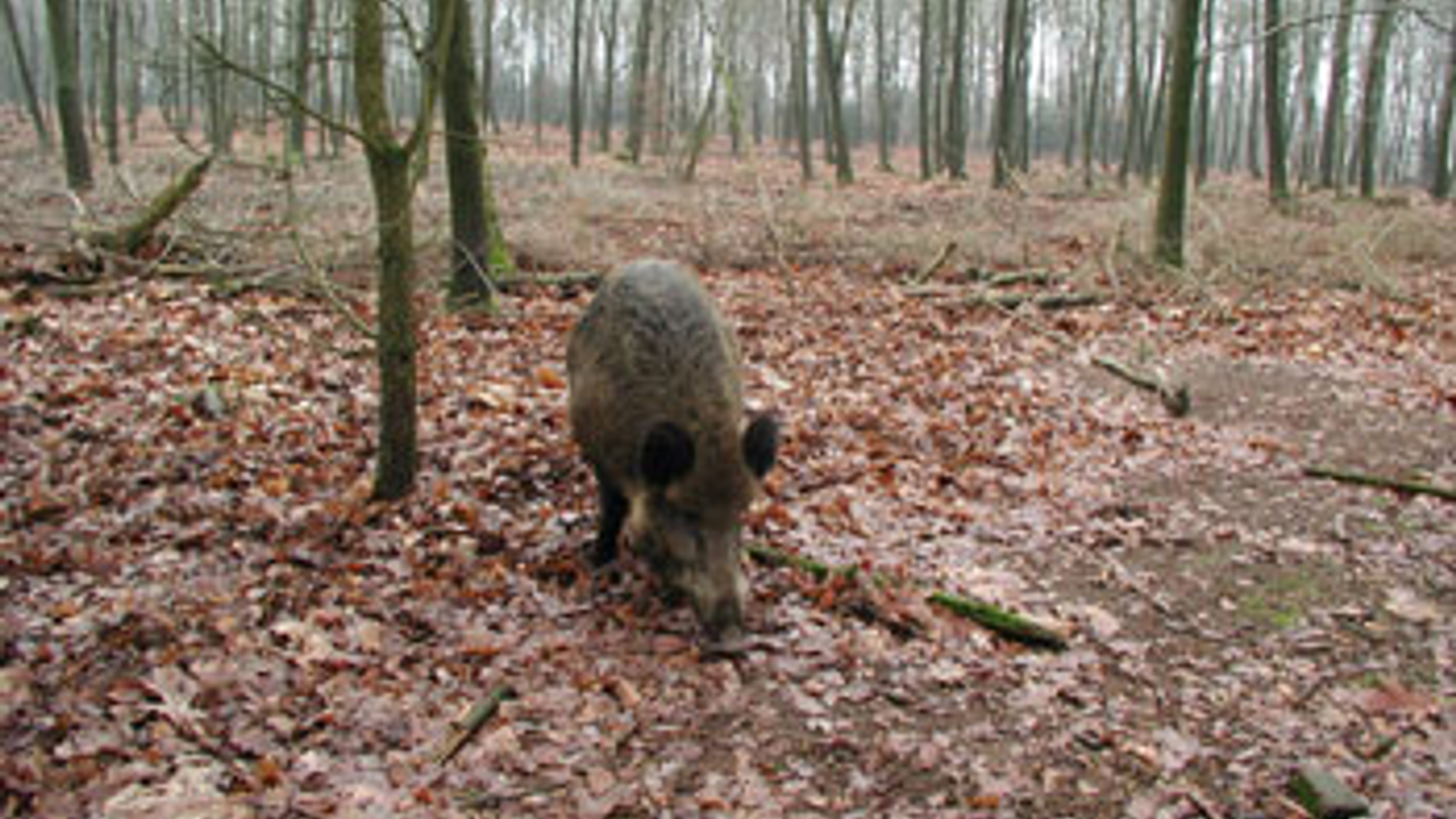 vv_newsimg_268864.jpg
