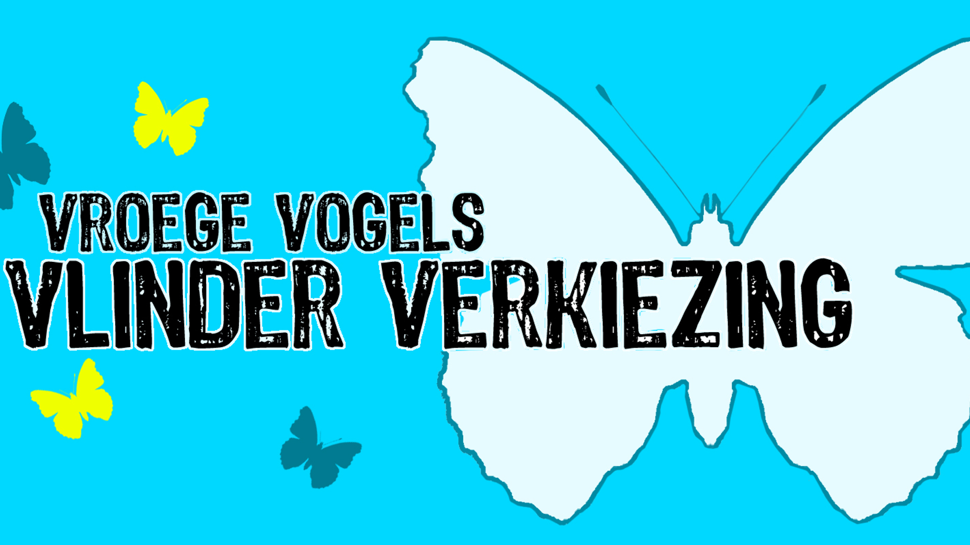 vlinderverkiezing_01.jpg