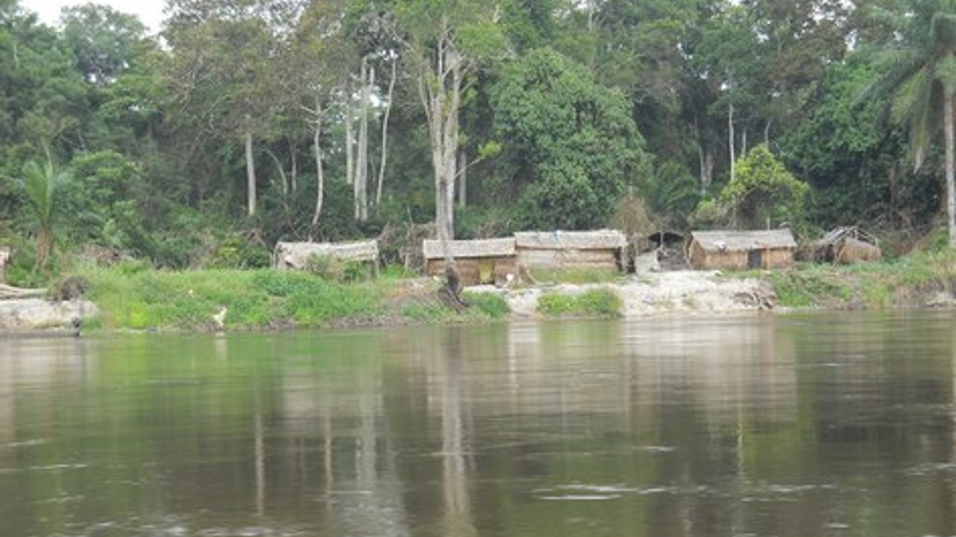 actueel_wetlands_1_15076.jpg
