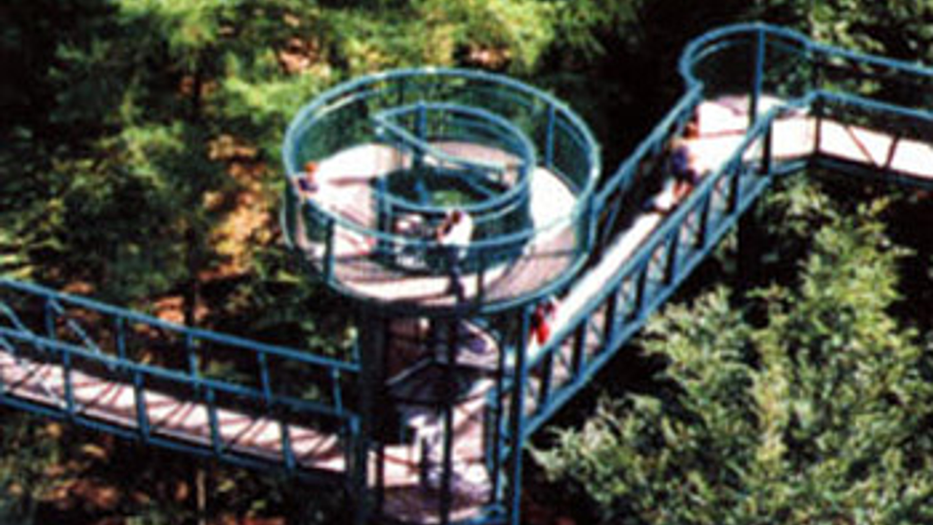 vv_newsimg_159361.jpg