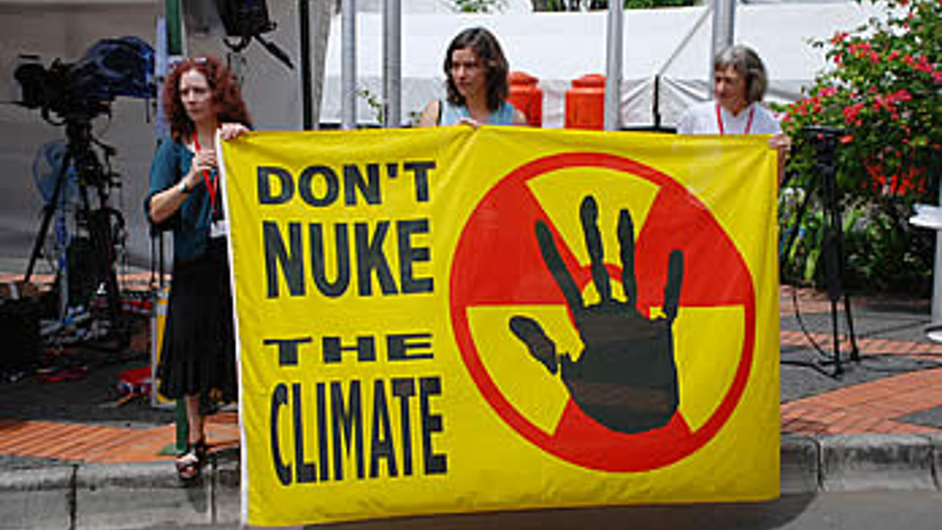 cop13_13_2_348.jpg