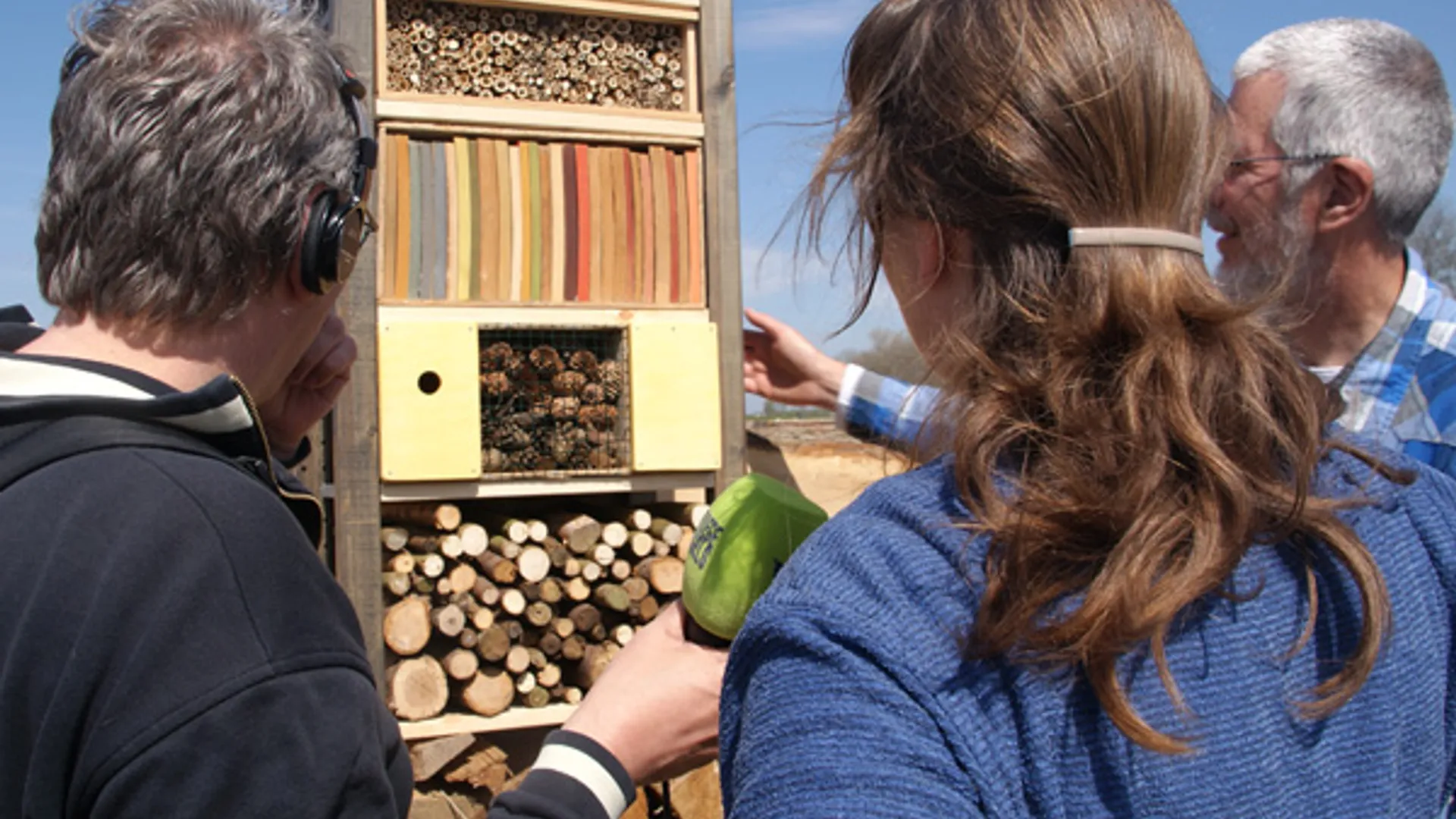 insectentoren_wildeweelde.jpg